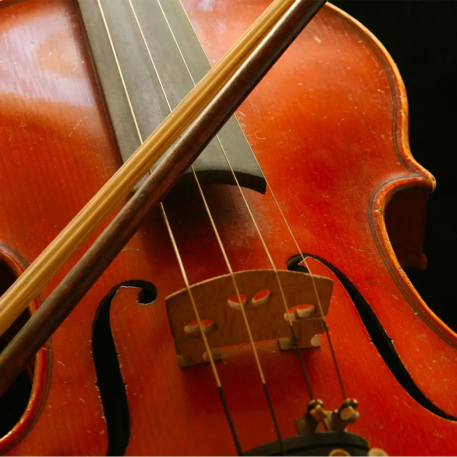 Cropped photo of violin